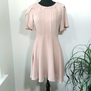 Bar lll blush nude flirty ruffle sleeve dress